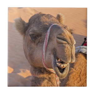 Funny Camel Ceramic Tile
