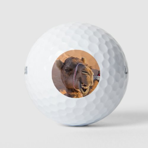 Funny Camel Classic Golf Balls