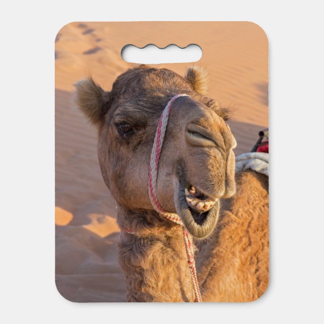 Funny Camel Classic Seat Cushion (Front Vertical)