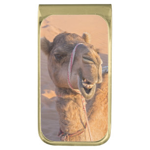 Funny Camel Gold Finish Money Clip