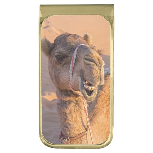 Funny Camel Gold Finish Money Clip (Front Vertical)