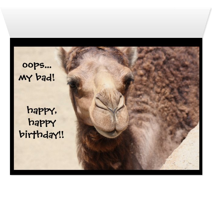 Hump day camel birthday