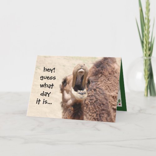 Funny Camel Hump Day Christmas Card green