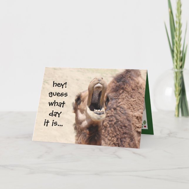Funny Camel Hump Day Christmas Card (green) (Front)