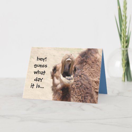Funny Camel Hump Day Easter Card blue