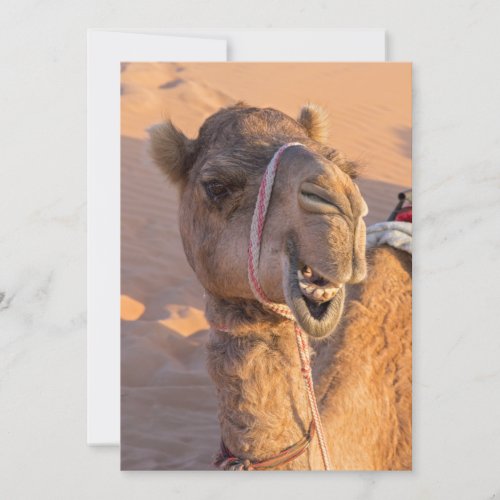 Funny Camel Invitation