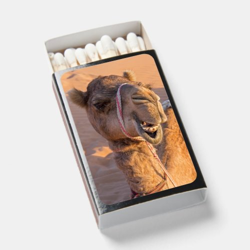 Funny Camel Matchboxes