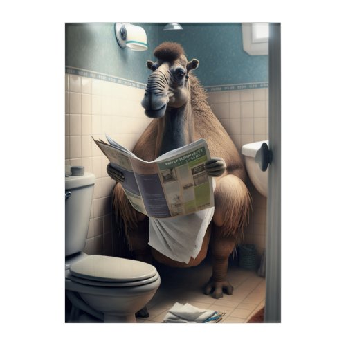 Funny Camel on Bathroom Toilet Wildlife Animals  Acrylic Print