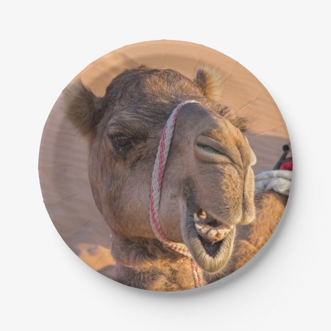 Funny Camel Paper Plates (Front)