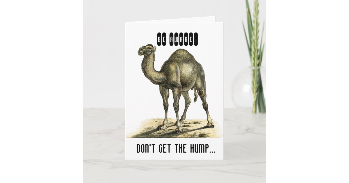 Don't get the hump