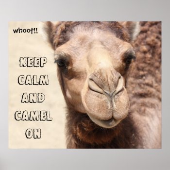Funny Camel Poster Keep Calm And Camel On (whoot!) by PicturesByDesign at Zazzle