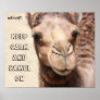 Funny Camel Poster Keep Calm and Camel On (whoot!)