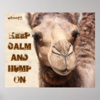 Funny Camel Poster Keep Calm And Hump On (whoot!) by PicturesByDesign at Zazzle