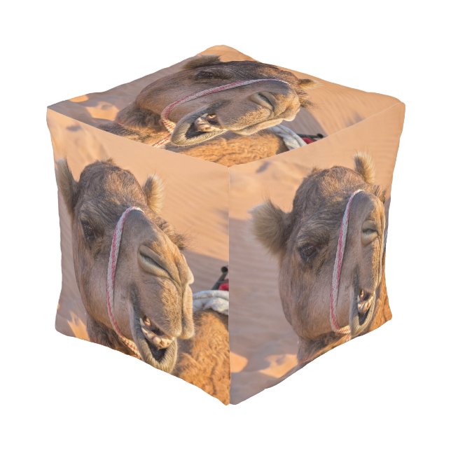 Funny Camel Pouf (Angled Front)