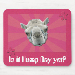 Funny Camel Retro Sunburst and Flowers Hump Day Mouse Pad