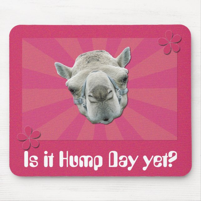 Funny Camel Retro Sunburst and Flowers Hump Day Mouse Pad (Front)