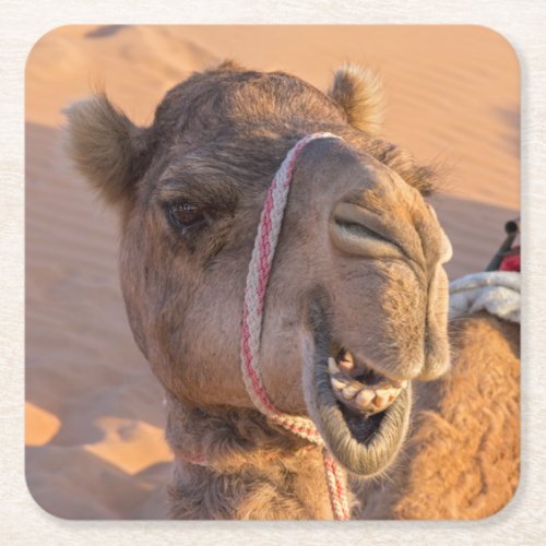 Funny Camel Square Paper Coaster