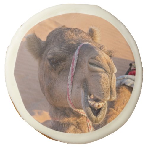Funny Camel Sugar Cookie