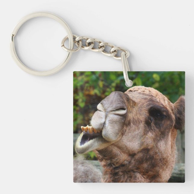 Funny Camel Wildlife Animal Photo Keychain (Front)