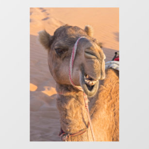 Funny Camel Window Cling