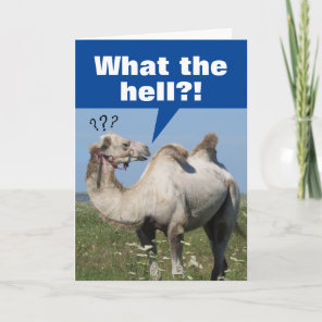 Funny Camel With Droopy Humps Birthday Card