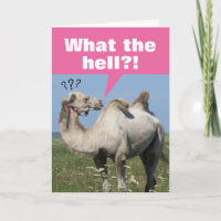 Funny Camel With Droopy Humps Birthday
