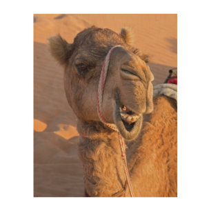 Funny Camel Wood Wall Art