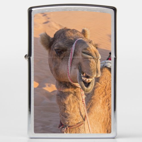Funny Camel Zippo Lighter