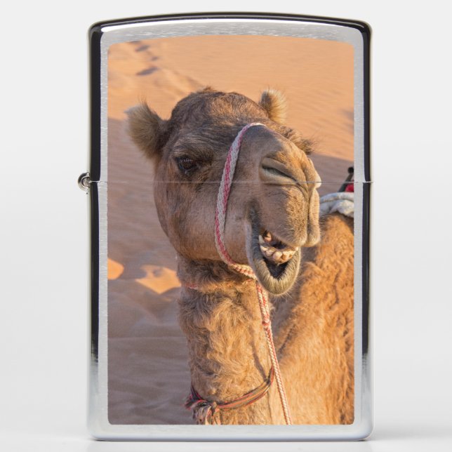 Funny Camel Zippo Lighter (Front)