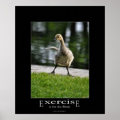 Funny Canada Goose Gosling Exercise Demotivational Poster