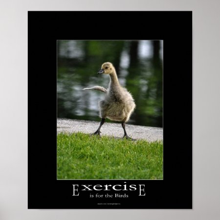 Funny Canada Goose Gosling Exercise Demotivational Poster