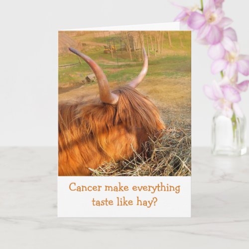 Funny Cancer Cattle Get Well Card