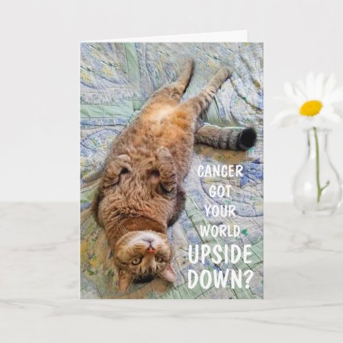 Funny Cancer Upside Down Cat Support Card