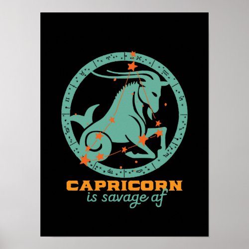 Funny Capricorn Zodiac Star Astrology Birthday Poster