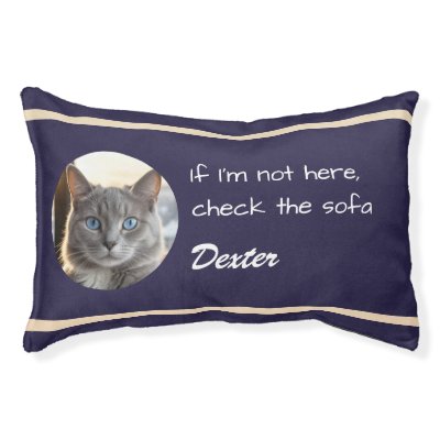 Funny Caption Cat Humor Dark Blue Pet Bed