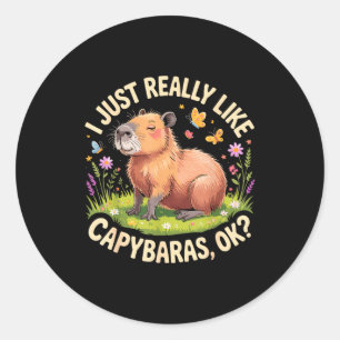 Funny Capybara Art For Men Women Kids Capy Rodent Classic Round Sticker