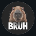 Funny Capybara Bruh  Classic Round Sticker<br><div class="desc">Funny Capybara Bruh</div>