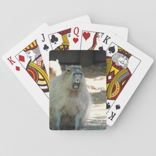 Funny Capybara Deck of cards