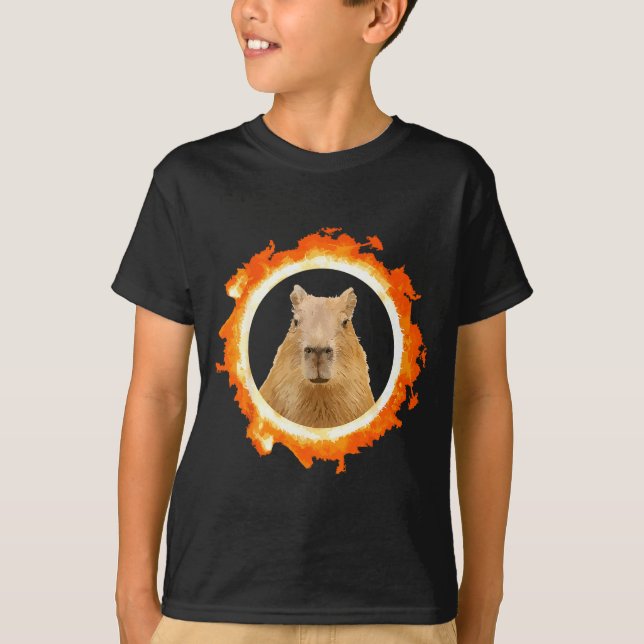 Funny Capybara Eclipse Meme Solar Animal T-Shirt (Front)