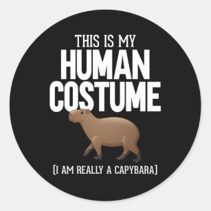 Funny Capybara Lover Cute Animal Classic Round Sticker