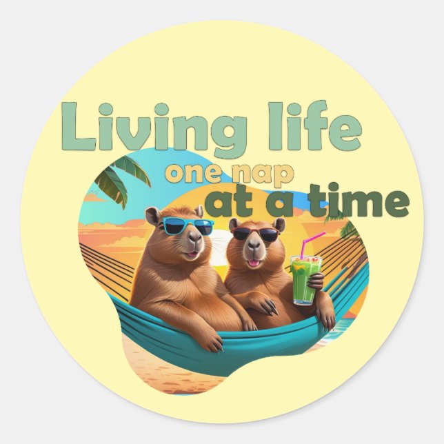funny capybara lovers gift ,cute capybara ,don’t w classic round sticker (Front)