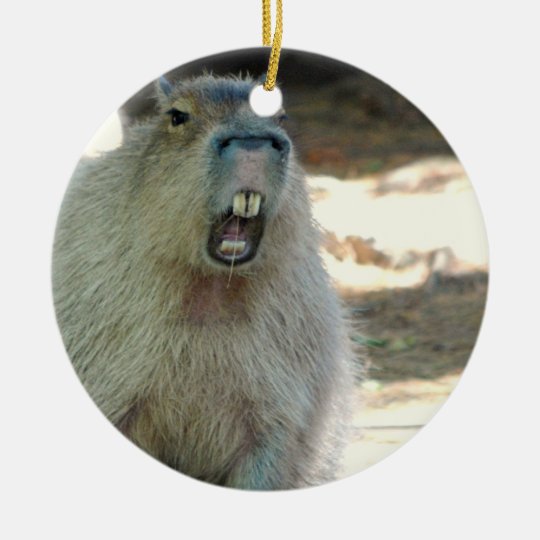 Capybara Spreading Christmas Cheer Image