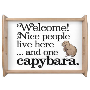 Funny Capybara Serving Tray   Quirky and Adorable 