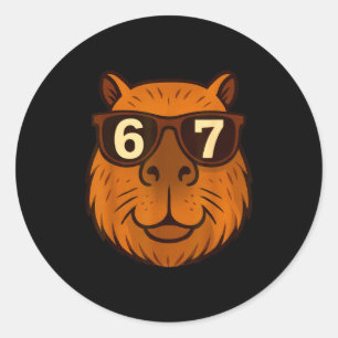 Funny Capybara Sungles 67 Six Seven Meme Classic Round Sticker