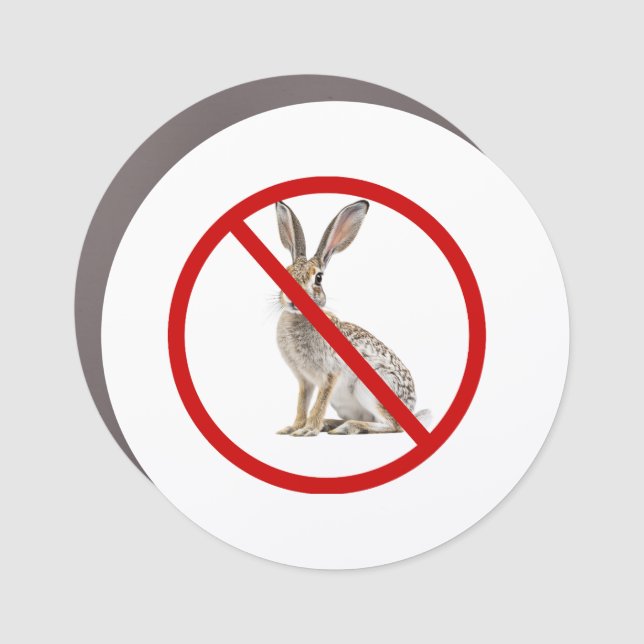 Funny Car Jackrabbit Car Magnet (Front)