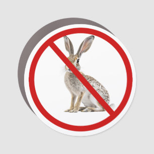 Funny Car Jackrabbit Car Magnet