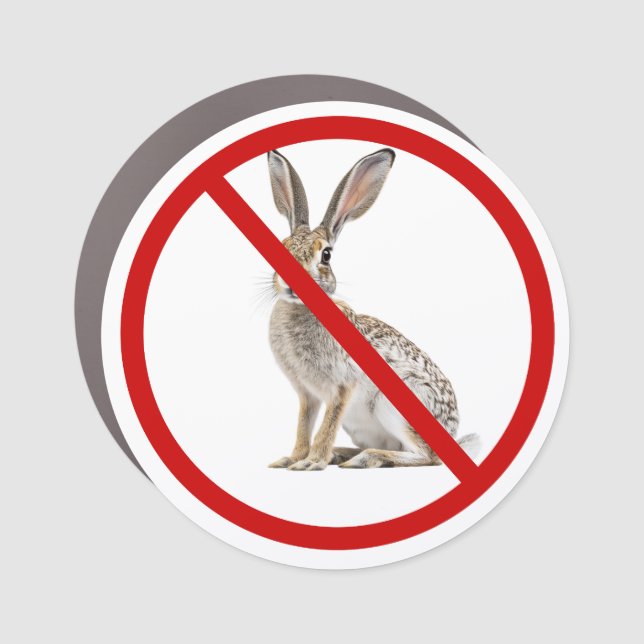 Funny Car Jackrabbit Car Magnet (Front)