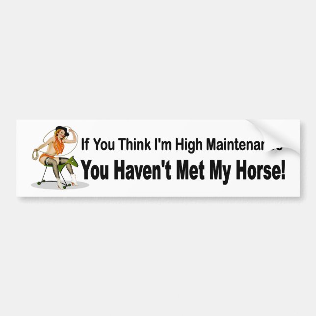 Funny car sticker for women who own horses (Front)
