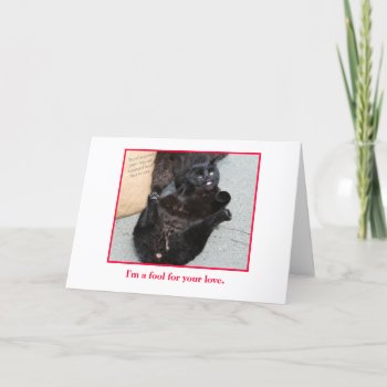 Funny Card  Blank Inside. Holiday Card by TheyHadMeAtMeow at Zazzle