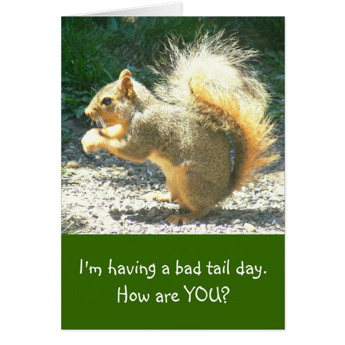 funny card, photo/squirrel, "Having Bad Tail Day"